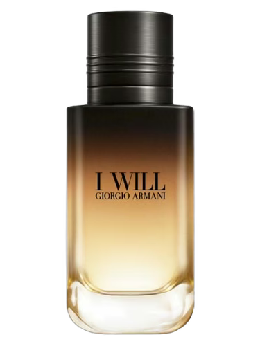 I Will Giorgio Armani 100ml, Parfum Barbati (sigilat)